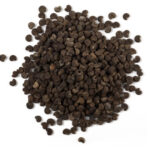 Amberette Seed Oil