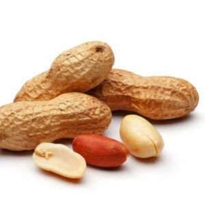 Arachis (Groundnut) Oil