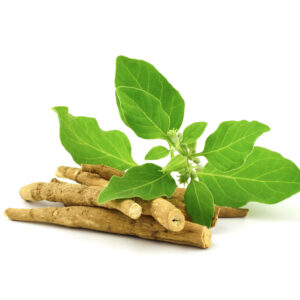 Ashwagandha Oil