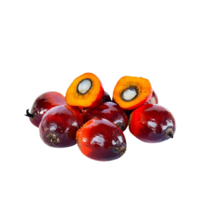 Batana Oil