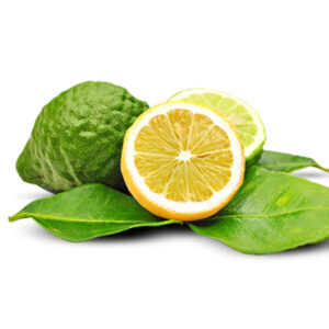 Bergamot Oil