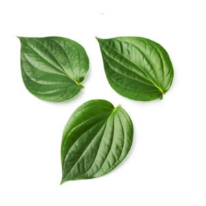 Betel Leaf Oil