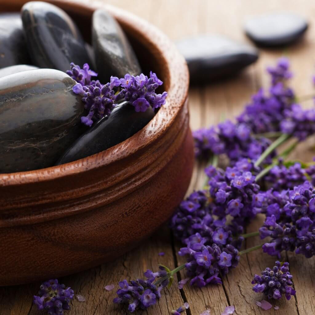 Black Amber & Lavender Fragrance Oil (Premium)