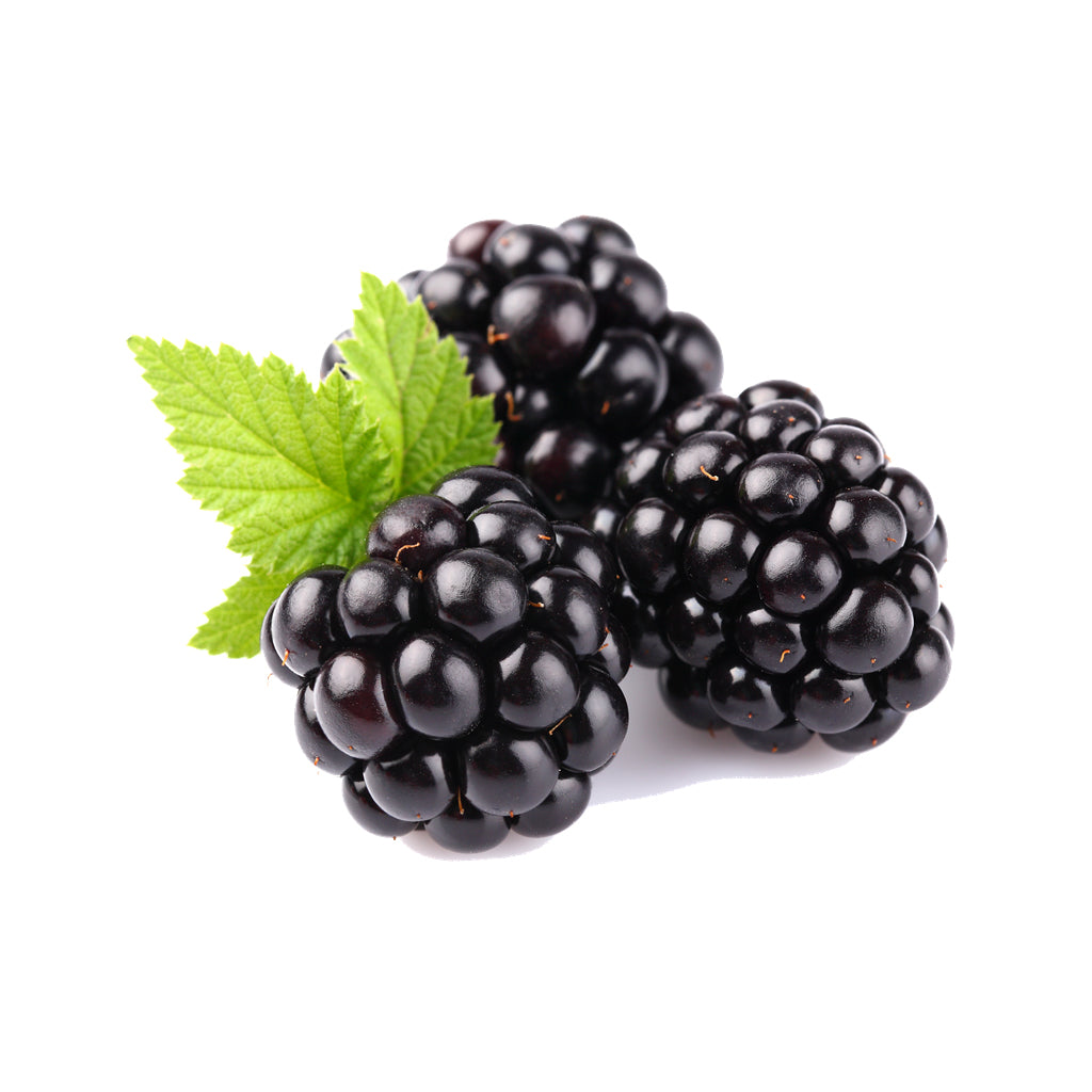 Blackberry Seed Oil Blackberry Seed Oil