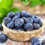 Blueberry Seed Oil