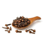Clove Oil Bud
