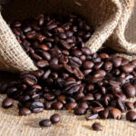 Coffee Bean Carrier Oil