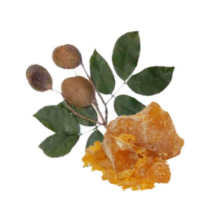 Copaiba Balsam Oil