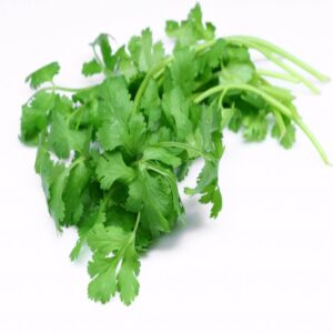 Coriander Hydrosol