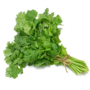 Coriander Oil Indian