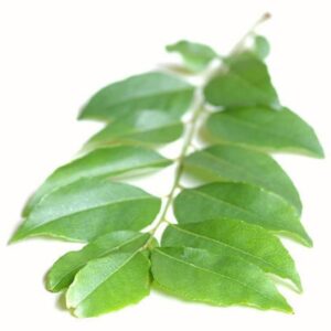Curry Leaf Hydrosol