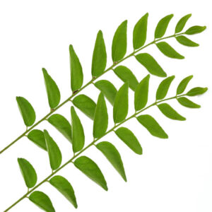 Curry Leaf Oil