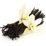 French Vanilla Fragrance Oil
