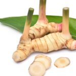Galangal Oil