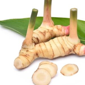 Galangal Oil