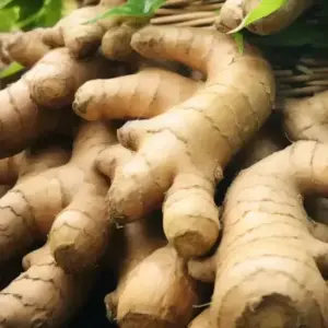 Ginger Oleoresin