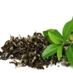 Green Tea Fragrance Oil