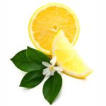 Lemon Blossom Fragrance Oil