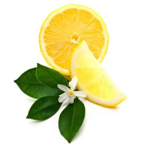 Lemon Blossom Fragrance Oil