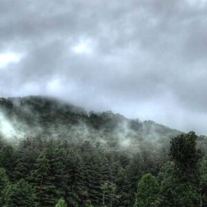 Mountain Rain Fragrance Oil
