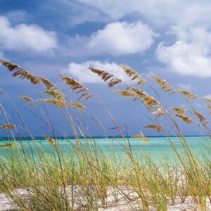 Ocean Breeze Fragrance Oil