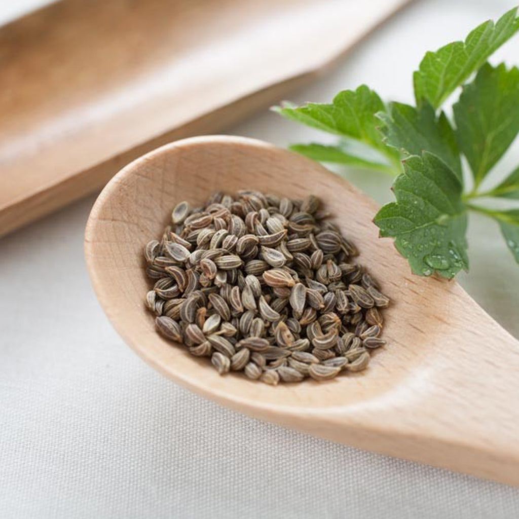 Parsley Seed Hydrosol Parsley Seed Hydrosol
