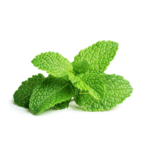 Peppermint Oil