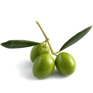 Phyto Squalane