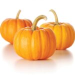 Pumpkin Patch Fragrance Oil
