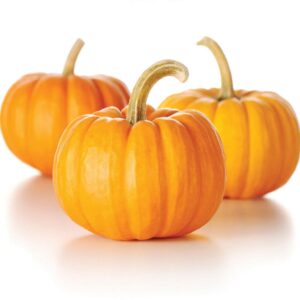 Pumpkin Patch Fragrance Oil