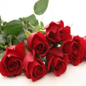 Rose Garden Fragrance Oil