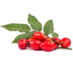 Rosehip Seed Oil