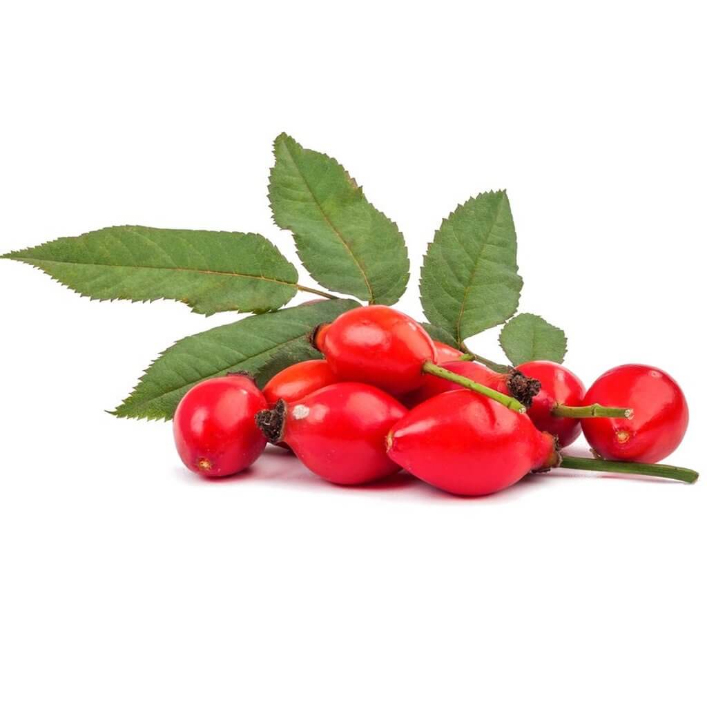 Rosehip Seed Oil Rosehip Seed Oil