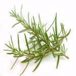 Rosemary Hydrosol