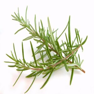 Rosemary Hydrosol