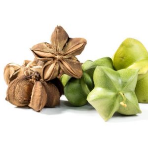 Sacha Inchi Oil
