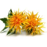 Safflower Oil