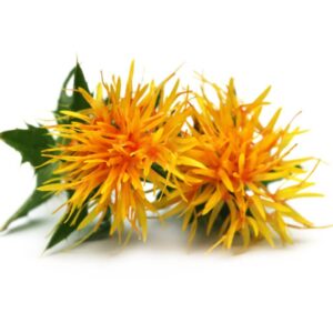 Safflower Oil
