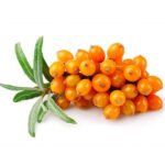 Seabuckthorn Oil