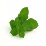 Spearmint Oil