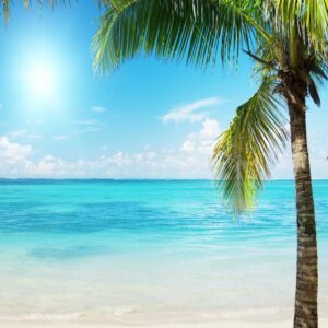 Sun & Sand Fragrance Oil