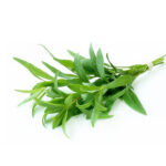 Tarragon Oil