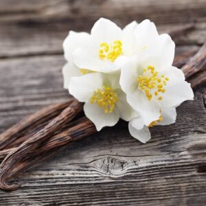 Vanilla Oak Fragrance Oil (Premium)