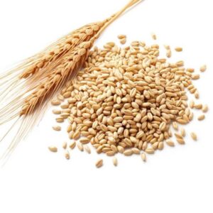 Wheat Germ Oil